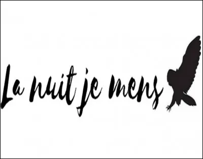 Qui est le chanteur interprète de la chanson ''La nuit je mens'' ?