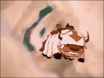 Quel est le MBTI d'Appa ?