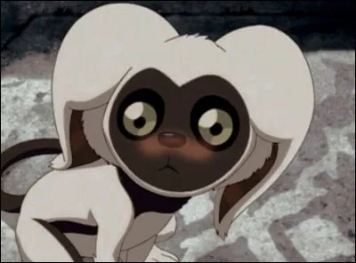 Quel est le MBTI de Momo ?