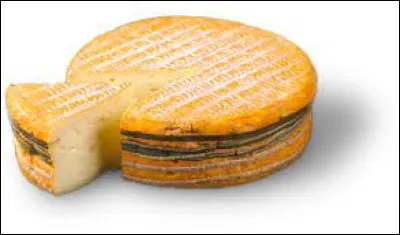 Gastronomie : quel est le nom de ce fromage à pâte molle à croûte lavée ?