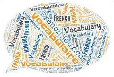 Vocabulaire : lequel de ces mots correspond à la définition "qui s'exprime en peu de mots" ?