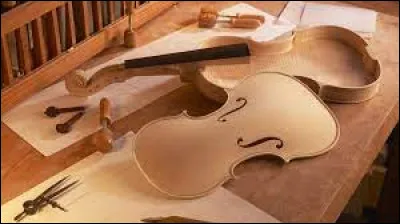 Vie quotidienne : quel artisan d'art fabrique manuellement des instruments de musique ?