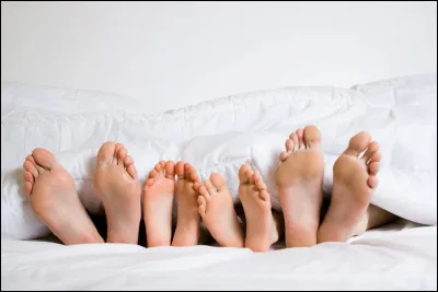 Science : Quel ensemble d'os se situe dans le pied ?