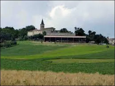 Je vous propose de finir cette balade en Occitanie et de partir à Saint-Martin-de-Goyne. Village de l'arrondissement de Condom il se situe dans le département ...