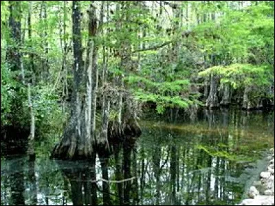 Le parc national des Everglades est situé dans quel État ?