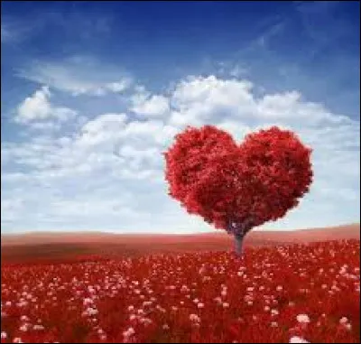 Qu'est-ce que l'amour pour toi ?