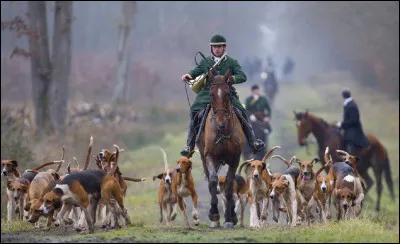 Quel est le nom de ce type de chasse ?
