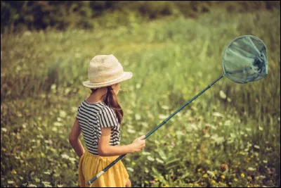Qui est l'auteur-compositeur et interprète de la chanson ''La chasse aux papillons'' ?