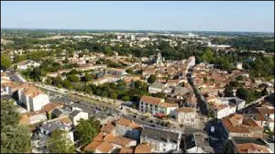 La ville de Montaigu-Vendée se trouve en Vendée.