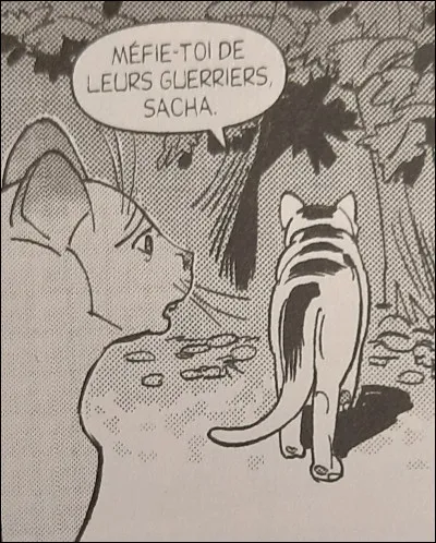 Comment s'appelle le matou qu'elle croise en forêt et qui lui dit qu'il y a des chats dangereux qu'il ne faut pas approcher ?
