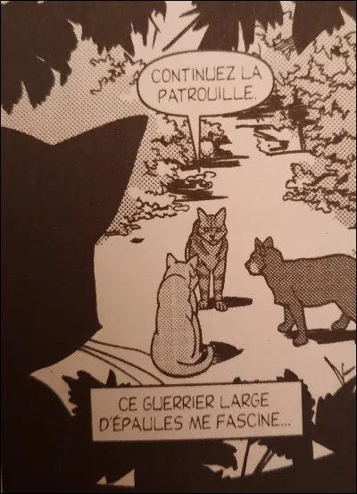 De qui est composée la patrouille qui passe près de l'arbre où est cachée Sacha ?