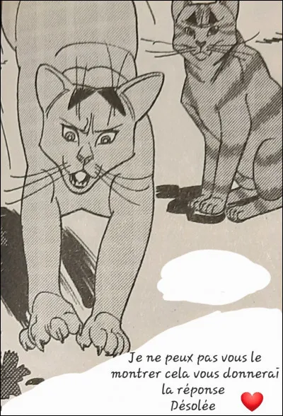 Quelle est la proie que Nuage Fauve rate mais que Sasha attrape espérant les impressionner ?