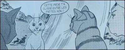 Quelle est la réaction d'Étoile du Tigre ?