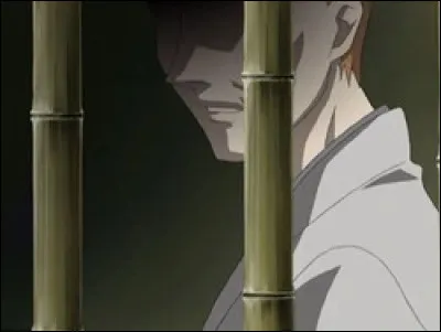 Quel était le précédent signe du chat avant Kyo ?