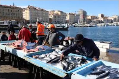 Comment appelait-on autrefois le marché aux poissons de Marseille ?