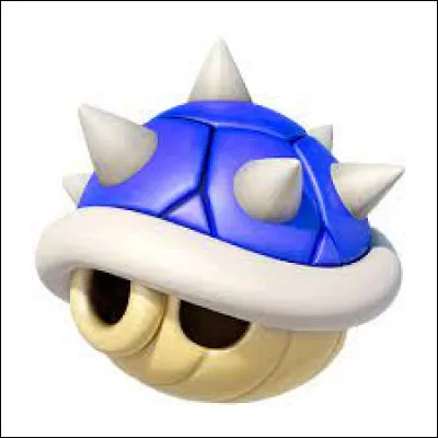 A quoi sert cette arme ?