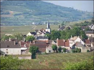 Village viticole de Bourgogne-Franche-Comté, dans l'aire d'attraction de Beaune, Chassagne-Montrachet se situe dans le département ...