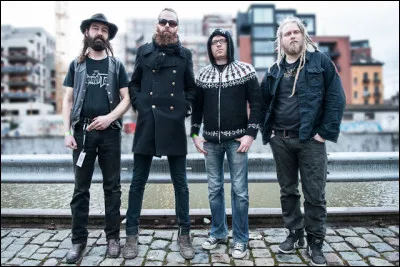 Quel est votre groupe pr&eacute;f&eacute;r&eacute; ? (1)