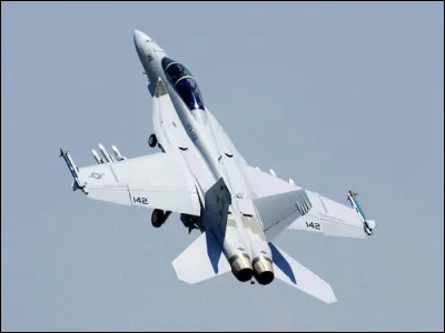 Le F/A-18 Hornet est :