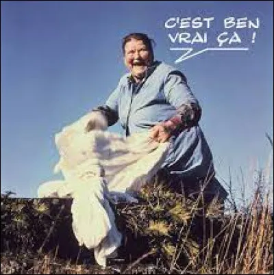 Dans les années 70 et 80 pour quelle marque de lave-linge (qui méritait notre confiance) la "Mère Denis" faisait-elle la pub ?