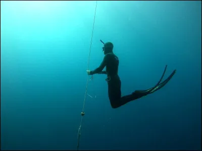 Sport : Quel est l'actuel record du monde de plongée statique ? (23/06/23)