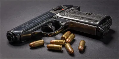 À qui doit-on "les Noces du Pape" et "la Compagnie des Hommes" ?