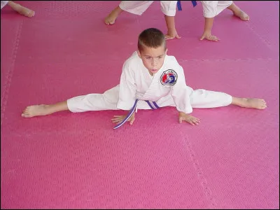 Maurin des Maures est un livre de...