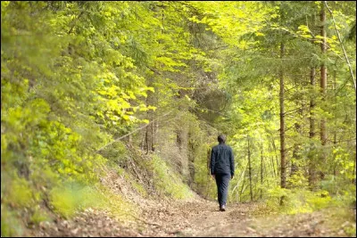 Qui est lauteur-compositeur et interprète de la chanson ''Je marche seul'' ?