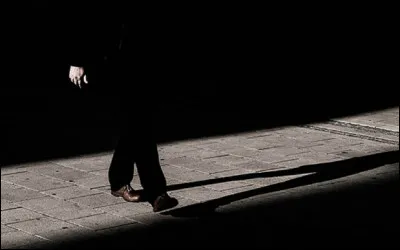 Qui est l'auteur-compositeur du titre ''Marche à l'ombre'' ?