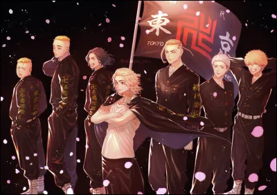 Aimes-tu les manèges à sensations fortes ?