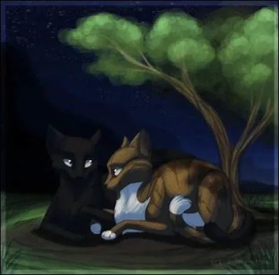 Quel est le nom du livre 5 cycle 1 ?