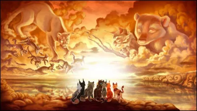 Quel est le nom du livre 6 cycle 1 ?