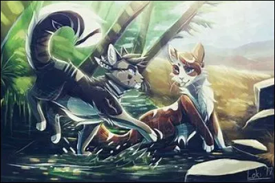 Quel est le nom du livre 3 cycle 2 ?