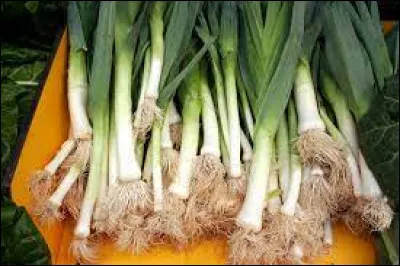 Comment dit-on "un poireau" en italien ?