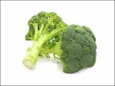 Comment dit-on "un brocoli" en italien ?
