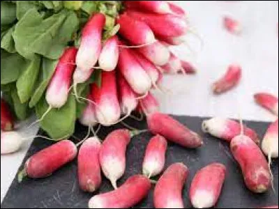 Comment dit-on "un radis" en italien ?