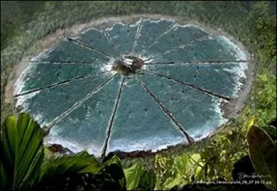 Au collège (école) tu es...