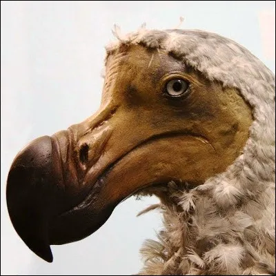 Quel mammif&egrave;re disparu a &eacute;t&eacute; approximativement reconstitu&eacute; par des biologistes allemands dans les ann&eacute;es 1920 ?