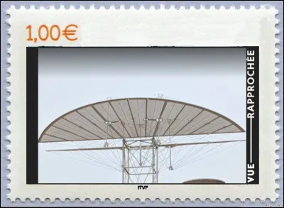 Quel est cette espèce d'oiseau ?