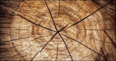 De quoi est-elle faite ?