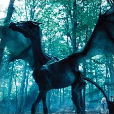 Qui sont les personnes qui peuvent voir les sombrals ?