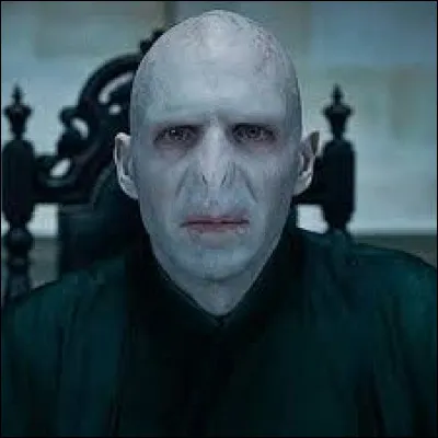Combien y avait-il de Horcruxes pour tuer Lord Voldemort ?