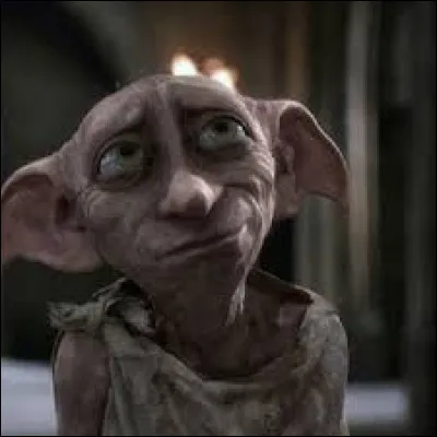 À quelle famille appartient Dobby ?