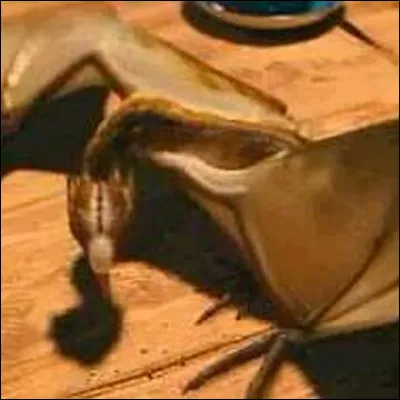 Dans quel pays Hagrid devait envoyer ce dragon nommé Norbert ?