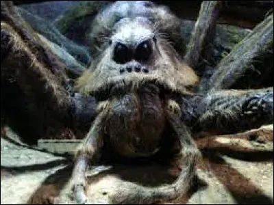 Dans quel film Harry et Ron font la rencontre d'Aragog ?