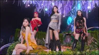 Quel serait ton rôle dans le groupe ?