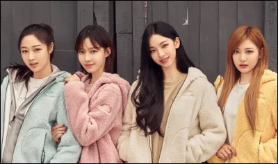 À quel animal penses-tu ressembler ?