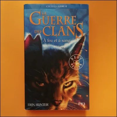 Quel est le titre du deuxième livre du cycle deux ?