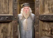 Quiz Albus Dumbledore