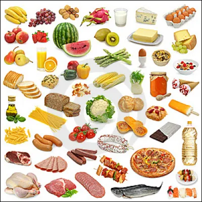 Que mange le geai bleu ?